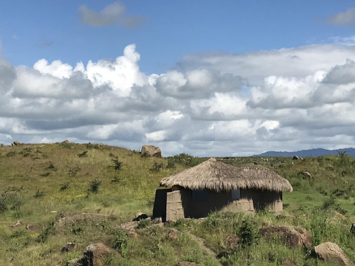 Osiligilai Maasai Lodge Sanya Juu Buitenkant foto